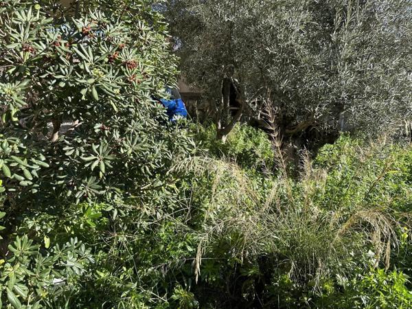 En eXclusivité / Appartement - bas de villa -T2 - jardin - terrasse / Quartier des Routes