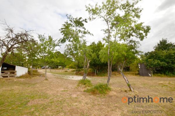 Magnifique Maison Sous-Sol Rénovée – À Deux Pas d’Availles-Limouzine ! 🌳🌞