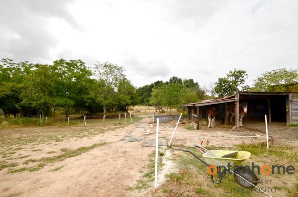 Magnifique Maison Sous-Sol Rénovée – À Deux Pas d’Availles-Limouzine ! 🌳🌞