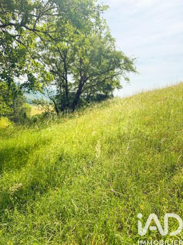 Terrain à vendre 3 770 m² Conques-en-Rouergue