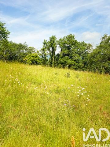 Terrain à vendre 3 770 m² Conques-en-Rouergue
