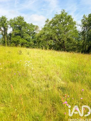 Terrain à vendre 3 770 m² Conques-en-Rouergue