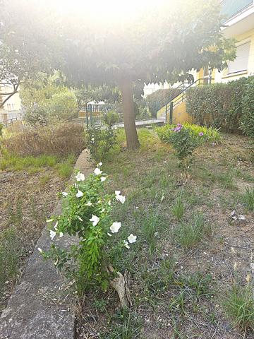 Appartement 3 pièces - 58 m²