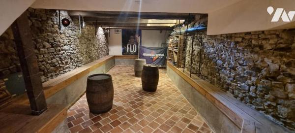 LA GUERCHE DE BGNE - Plein-Centre : Maison pierres rénovée avec terrain