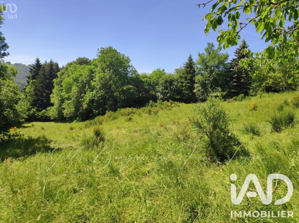 Terrain à vendre 4 480 m² Peyre en Aubrac