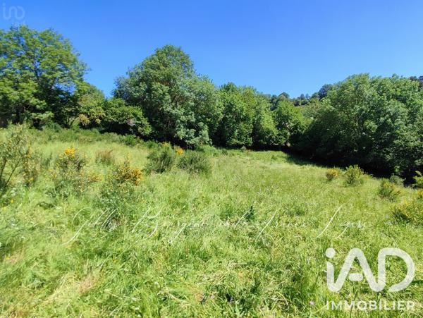 Terrain à vendre 4 480 m² Peyre en Aubrac