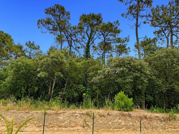 Maison sur 794m² de terrain au coeur de la forêt domaniale !