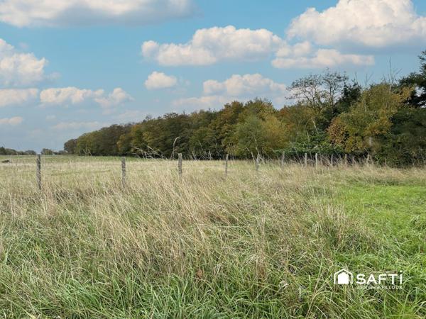 Maison de plain pied sur 4 hectares de terrain