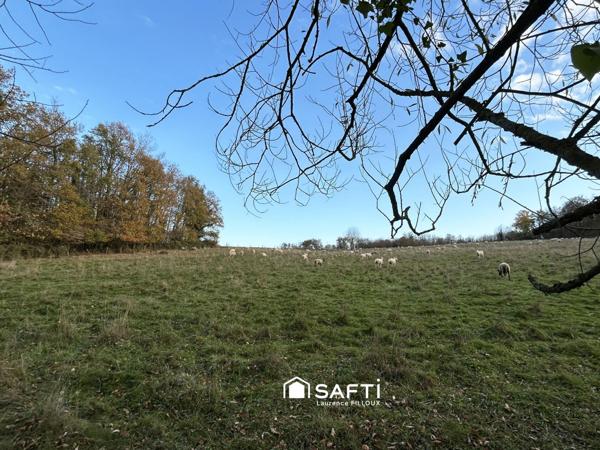 Maison de plain pied sur 4 hectares de terrain