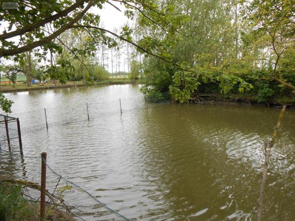 Immeuble à vendre à Bergues dans le Nord (59380), ref : H01970