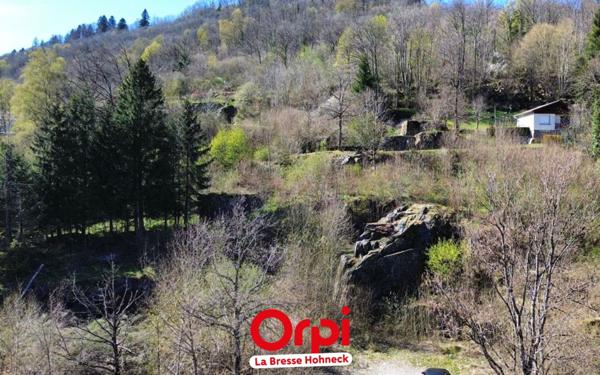 Terrain à vendre    La Bresse