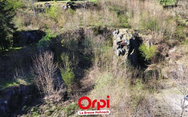 Terrain à vendre    La Bresse