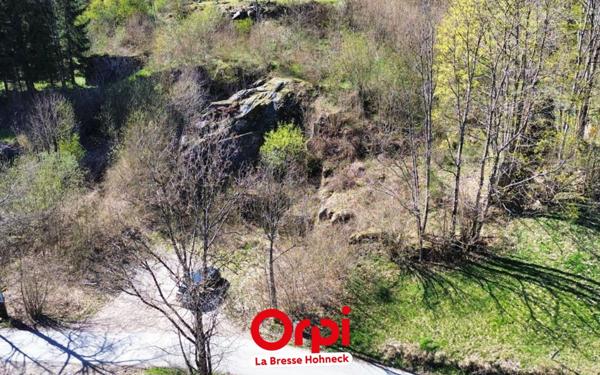 Terrain à vendre    La Bresse