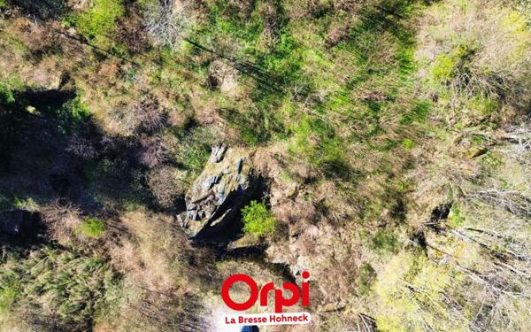 Terrain à vendre    La Bresse