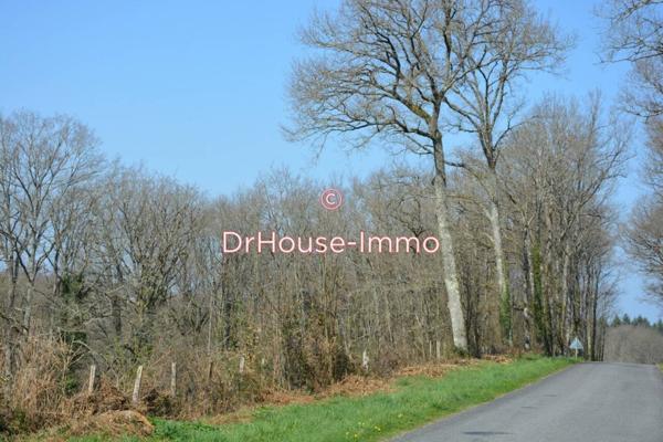 Terrain à vendre de 99 617 m²