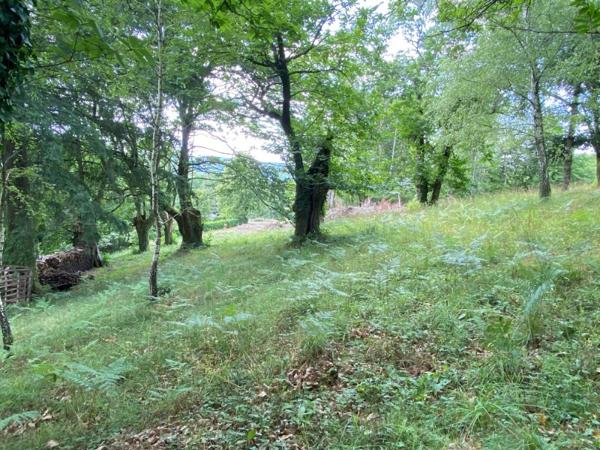 Terrain à TULLE, 19000 - 2355m²