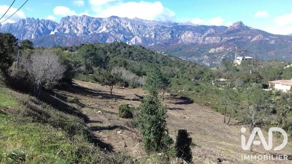 Terrain à vendre 2 096 m² Sari-Solenzara