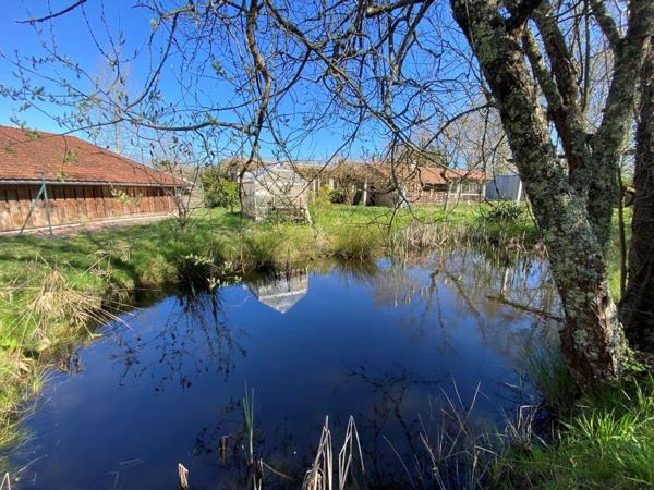 ST SAVIN MAISON + de 200 m² sur 5 000 m² Saint-Savin (33920)