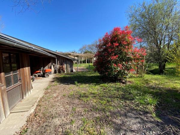 ST SAVIN MAISON + de 200 m² sur 5 000 m² Saint-Savin (33920)