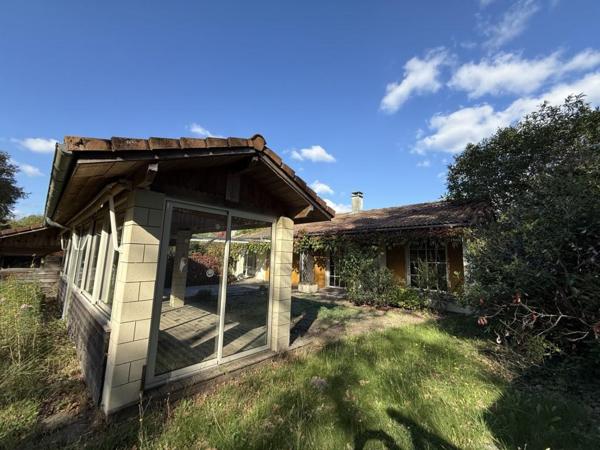 ST SAVIN MAISON + de 200 m² sur 5 000 m² Saint-Savin (33920)