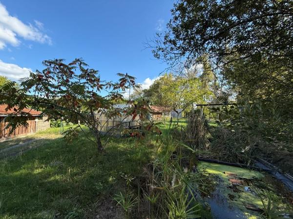 ST SAVIN MAISON + de 200 m² sur 5 000 m² Saint-Savin (33920)