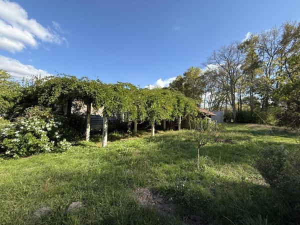 ST SAVIN MAISON + de 200 m² sur 5 000 m² Saint-Savin (33920)