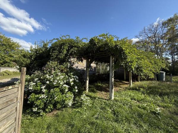 ST SAVIN MAISON + de 200 m² sur 5 000 m² Saint-Savin (33920)