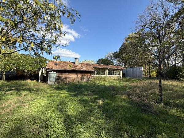 ST SAVIN MAISON + de 200 m² sur 5 000 m² Saint-Savin (33920)