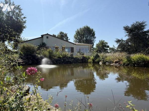 Maison traditionnelle contemporaine