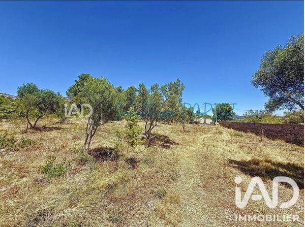 Terrain à vendre 7 436 m² Opoul-Périllos