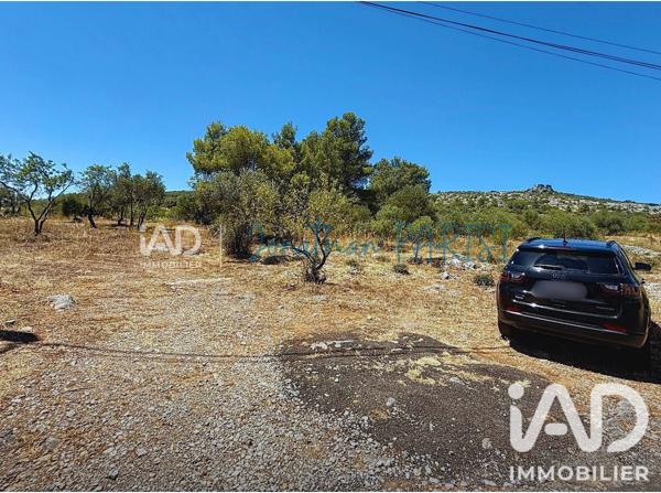 Terrain à vendre 7 436 m² Opoul-Périllos