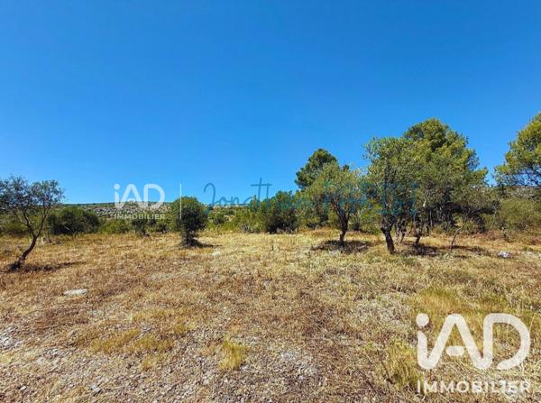 Terrain à vendre 7 436 m² Opoul-Périllos