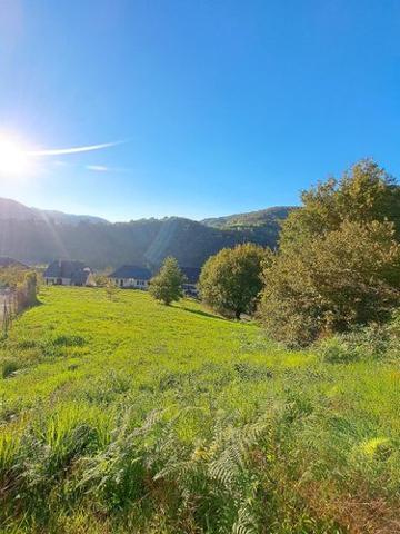 Terrain à Batir à vendre à Entraygues-sur-Truyère dans l'Aveyron (12140), ref : 1008399 Aveyron