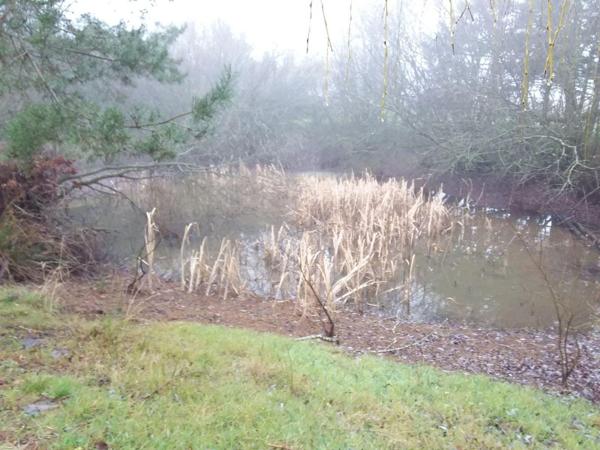 Pavillon à vendre à Nouans-les-Fontaines dans l'Indre-et-Loire (37460), ref : AN 9017