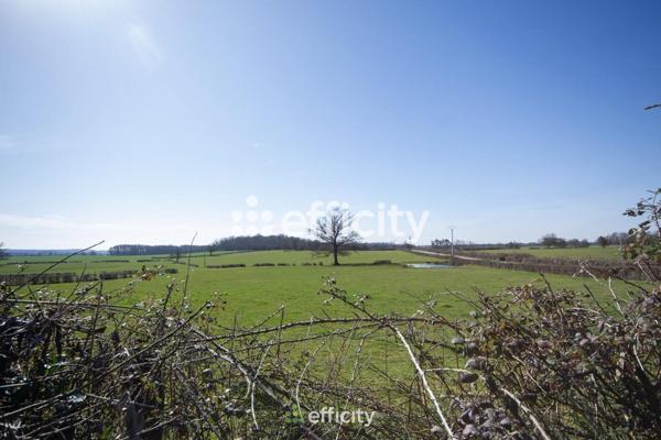 Maison 7 pièces - 176 m² Exclusivité efficity