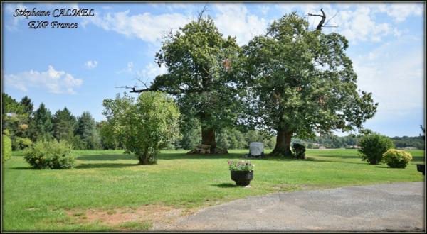 Secteur Lalinde - 20 kms de Bergerac - Au calme - Corps de ferme maison + 2 gîtes - Terrain de 6 hectares