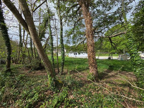 Terrain constructible de 6577 m2