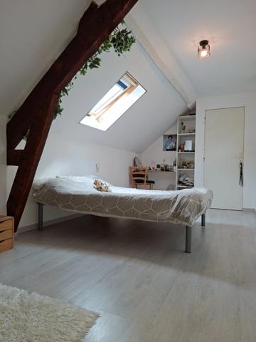 Longère rénovée en 6 pièces,128m2 plancher, double garage,au calme, impasse, au milieu des champs, proche Villaines la Juhel et Pré-en-Pail