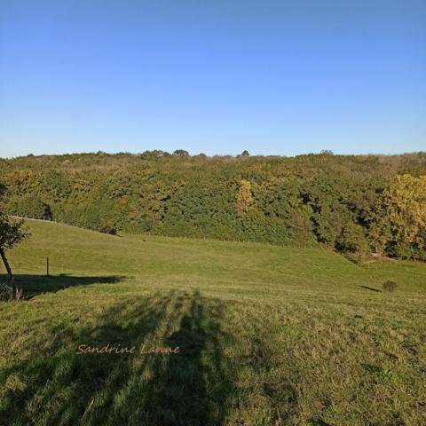 19600  Saint Pantaléon de Larche terrain 1973 m² prix 28 990 euros HAI charge vendeur