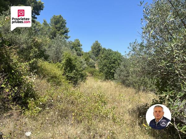 Terrain  5626 m2 DIVISIBLE