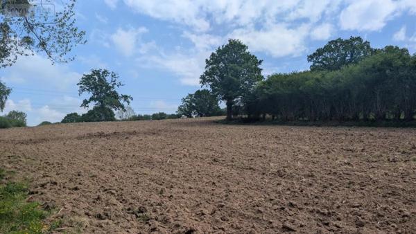 Achat - Terrain de loisirs, bois, étangs Rouffigny 50800 23575 m 2