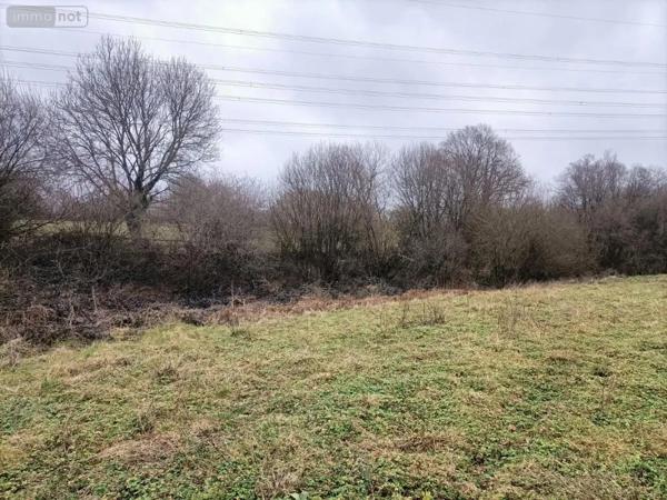 Achat - Terrain de loisirs, bois, étangs Rouffigny 50800 23575 m 2