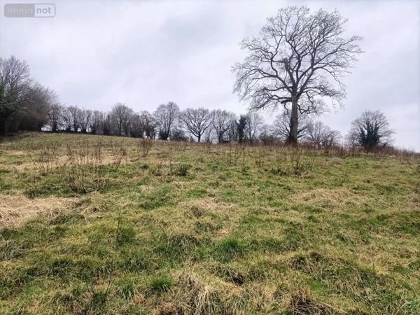 Achat - Terrain de loisirs, bois, étangs Rouffigny 50800 23575 m 2