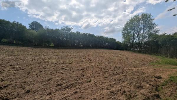 Achat - Terrain de loisirs, bois, étangs Rouffigny 50800 23575 m 2