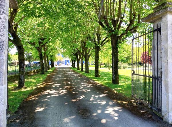 Maison à vendre 19 pièces de 605 m²