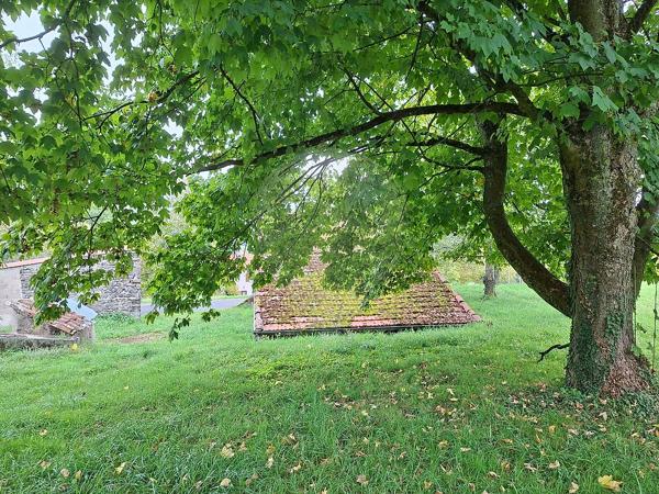 Terrain  en vente - Puy-de-Dôme - 63