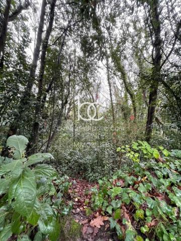 ILE AUX MOINES Terrain 688 m²