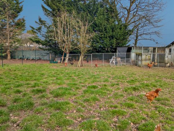 Laval (53000) A VENDRE MAISON AVEC GRAND TERRAIN LAVAL 53000