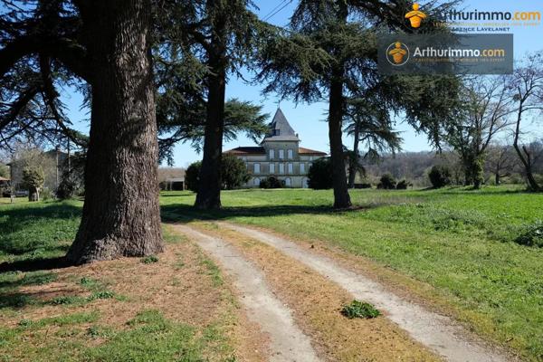 Vente                                                      Château
                        
                     10 pièces                      805 m2                     à Carbonne