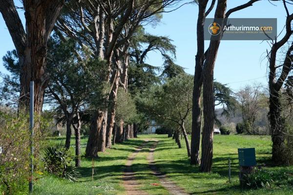 Vente                                                      Château
                        
                     10 pièces                      805 m2                     à Carbonne